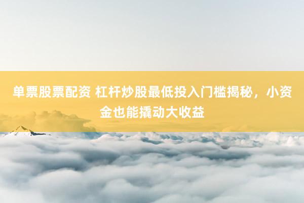 单票股票配资 杠杆炒股最低投入门槛揭秘，小资金也能撬动大收益