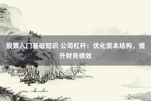 股票入门基础知识 公司杠杆：优化资本结构，提升财务绩效