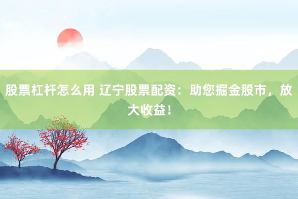 股票杠杆怎么用 辽宁股票配资：助您掘金股市，放大收益！
