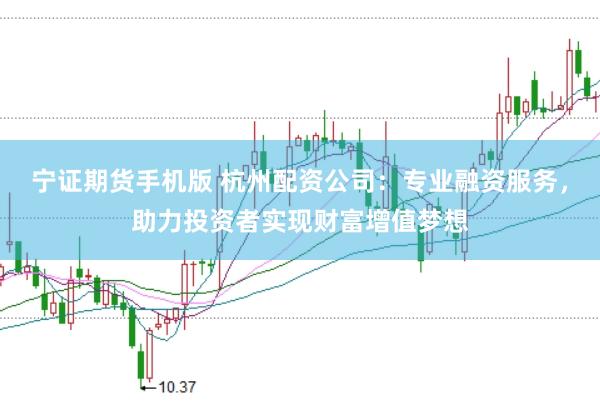 宁证期货手机版 杭州配资公司：专业融资服务，助力投资者实现财富增值梦想