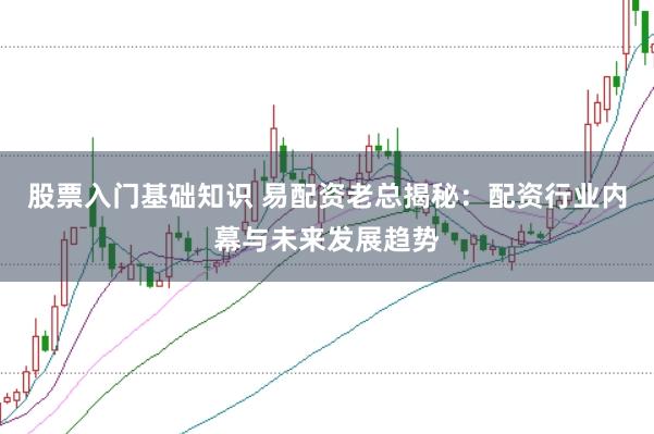 股票入门基础知识 易配资老总揭秘：配资行业内幕与未来发展趋势