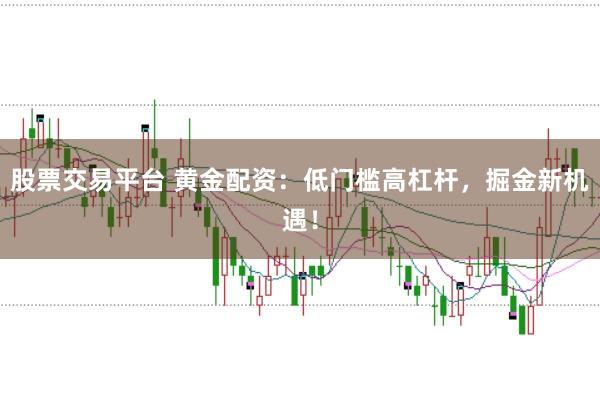 股票交易平台 黄金配资：低门槛高杠杆，掘金新机遇！