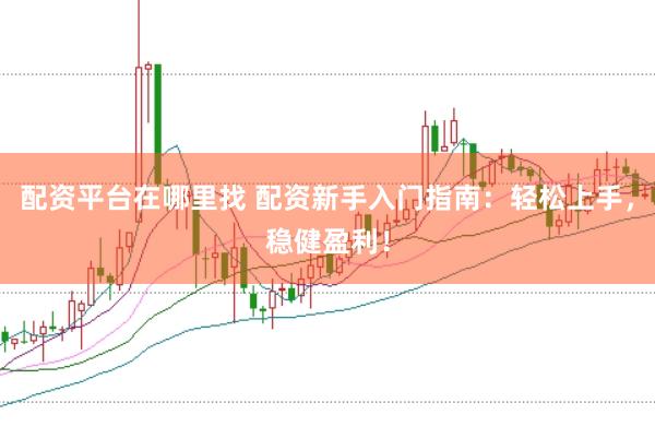 配资平台在哪里找 配资新手入门指南：轻松上手，稳健盈利！