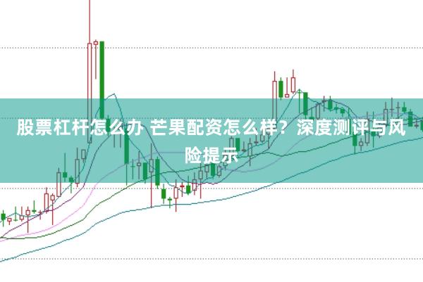 股票杠杆怎么办 芒果配资怎么样？深度测评与风险提示