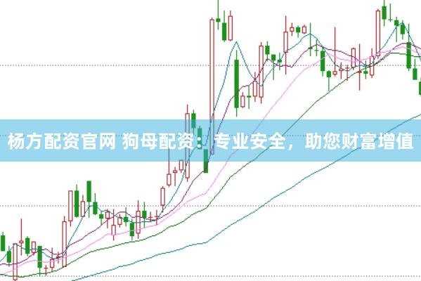 杨方配资官网 狗母配资：专业安全，助您财富增值