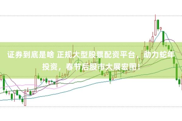 证券到底是啥 正规大型股票配资平台，助力蛇年投资，春节后股市大展宏图！