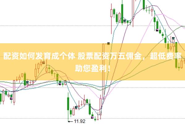 配资如何发育成个体 股票配资万五佣金，超低费率助您盈利！