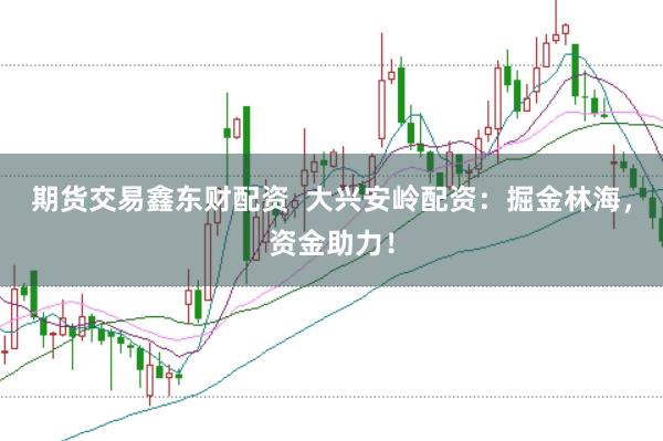 期货交易鑫东财配资  大兴安岭配资：掘金林海，资金助力！