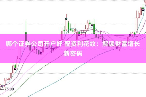 哪个证券公司开户好 配资利花纹：解锁财富增长新密码