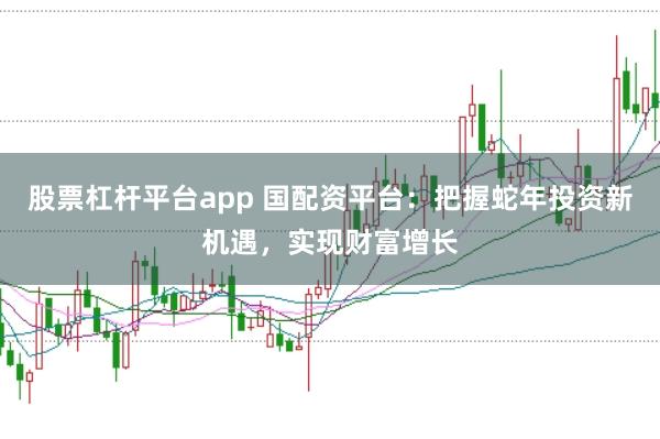 股票杠杆平台app 国配资平台：把握蛇年投资新机遇，实现财富增长