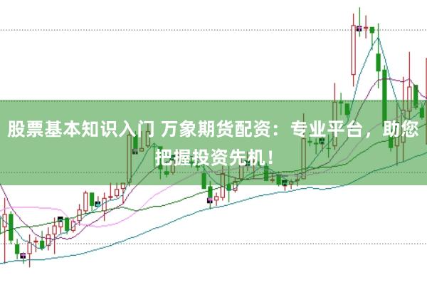 股票基本知识入门 万象期货配资:专业平台,助您把握投资先机!