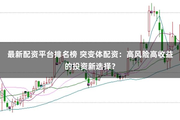 最新配资平台排名榜 突变体配资：高风险高收益的投资新选择？