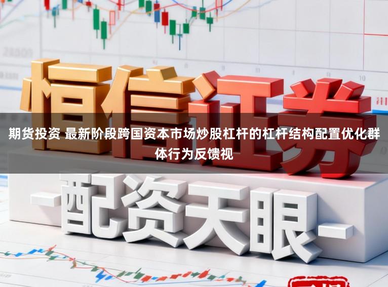 期货投资 最新阶段跨国资本市场炒股杠杆的杠杆结构配置优化群体行为反馈视