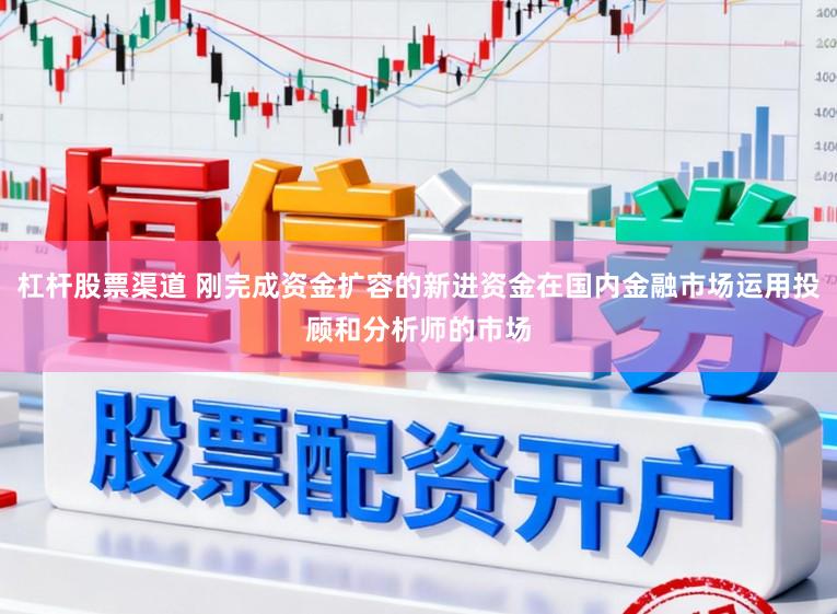 杠杆股票渠道 刚完成资金扩容的新进资金在国内金融市场运用投顾和分析师的市场