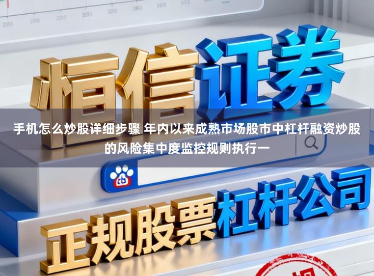 手机怎么炒股详细步骤 年内以来成熟市场股市中杠杆融资炒股的风险集中度监控规则执行一